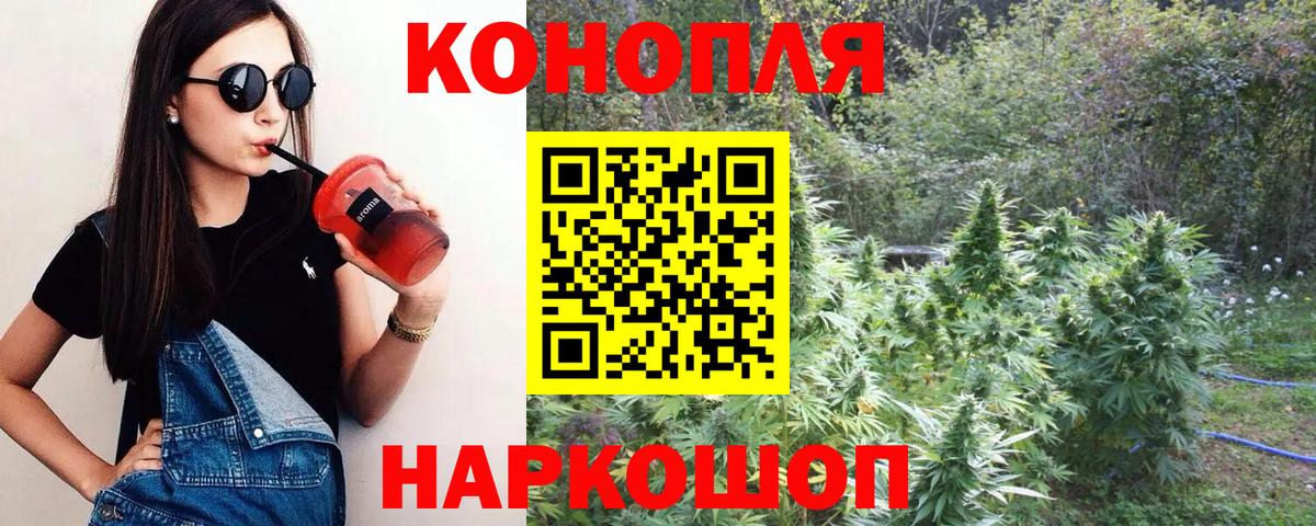 Бошки марихуана семена Новороссийск